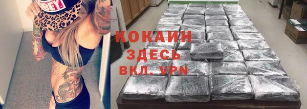 spice Алексин