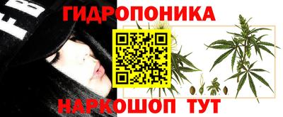 наркотики Сланцы